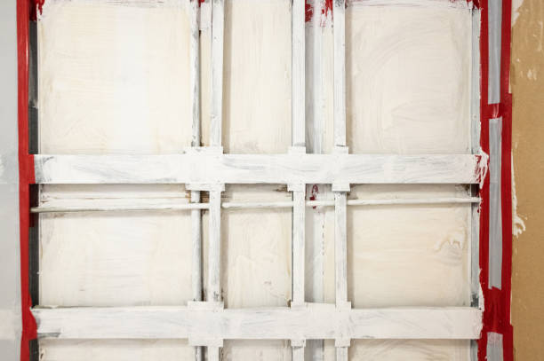 Best Mold Damage Restoration  in Southern Pines, NC