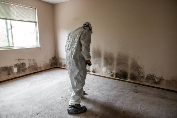 Best Air Quality Testing for Mold Spores  in Southern Pines, NC